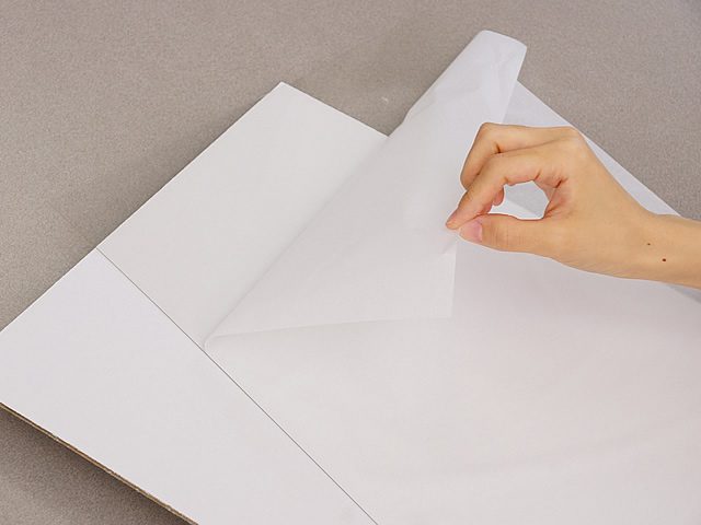 透明板の保護紙を剥がしてください。（2）